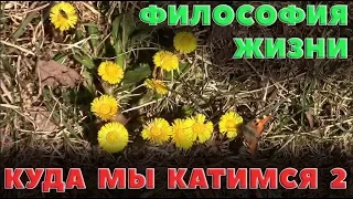 Философия жизни - Куда мы катимся 2