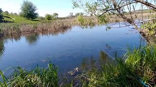 Ловля на донку та поплавок