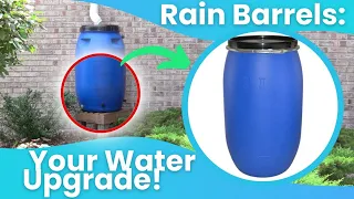 Rain Barrels: The Low-cost Water Capacity Upgrade You Need