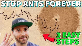 Make Your Yard ANT FREE FOREVER In 3 Easy Steps