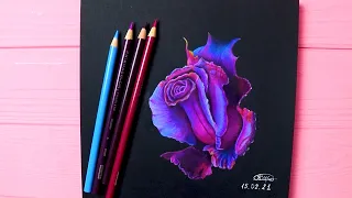 how i draw this beautiful rose on black paper with colored pencils