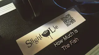 SLIGHT LIE - How Much Is The Fish (Scooter cover)