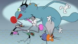 Oggy and the Cockroaches 🍯 HONEYMOON 💗 (S01E73) Full Episode