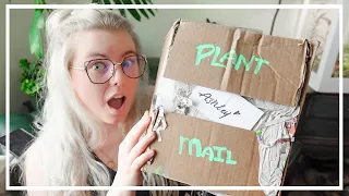 Houseplant Unboxing! Lets Open Plant Mail Together c: