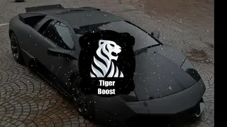 Tiger Boost-[Ryllz Nemesis]