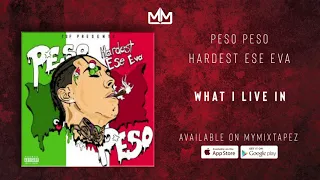 Peso Peso - What I Live In [Hardest Ese Ever]