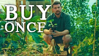 Crops to Plant Once & NEVER Buy Again | Huw's Garden Diaries