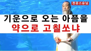 [천공스승님 정법강의] 왜 아픈지 모르면 호구 되고, 또 아픔이 와