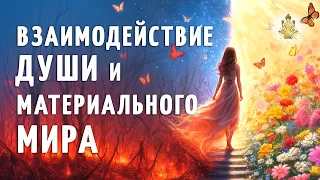 Как взаимодействует душа и материальный мир