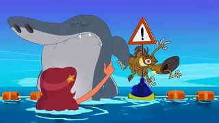 Zig and Sharko Compilation Full episodes in HD