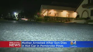 Mom Arrested For Leaving Child Dies In Hot Car