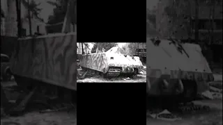 Maus Panzer/Maus Tank