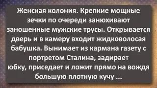 Жидковолосая Бабка в Женской Колонии! Сборник Самых Свежих Анекдотов! Юмор!