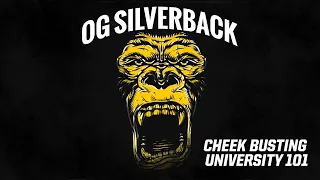 Cheek Busting University 101 | OG Silverback