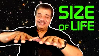 Neil deGrasse Tyson Explains the Physics of Size and Life