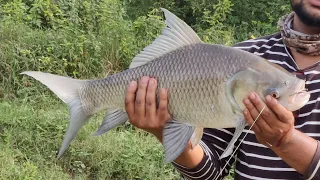 4KG Big katla Fish Catching || Hyderabad Style #Singh Ka Shikar || 3 hook fishing ||