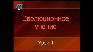 Теория эволюции. Урок 4. Синтетическая теория эволюции