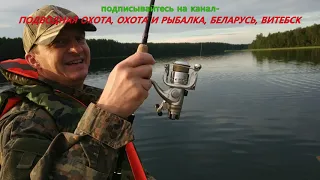 Рыбалка с Охотой UNDERWATER HUNTING, WEAPON HUNTING.BIRD HUNTING @rybalka-s-ohotoj