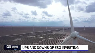 The Rise and Fall of ESG Investing