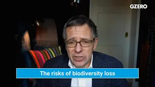 Biodiversity Loss Might Break the System. Businesses Aren’t Ready | Sustainability | GZERO Media