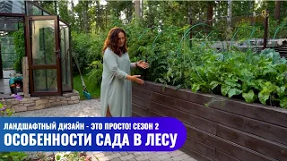 Особенности сада в лесу // Ландшафтный дизайн - это просто! Сезон 2