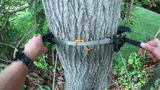 Saddle Hunting: Ring of Steps Setup with a Platform