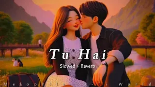 Tu Hai Lo-Fi (Slowed+Reverb) | Darshan Raval, Prakriti Giri | Melophile Lo-Fi World