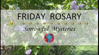 Friday Rosary • Sorrowful Mysteries of the Rosary 💜 May 24, 2024 VIRTUAL ROSARY - MEDITATION