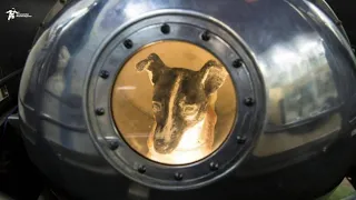 The sad story of laika || The Space Dog || What happened to laika in space?