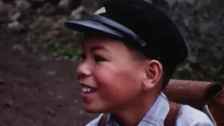 Japanese Boy: The Story of Taro (1963)