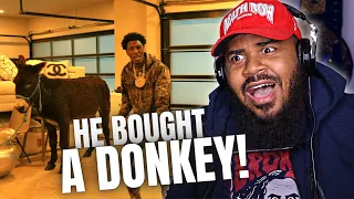 THEY TURNT YB BACK UP!! NBA YoungBoy - Act A Donkey (Official Video) CHARLAMAGNE DISS REACTION