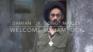 Damian “Jr. Gong” Marley - Welcome To Jamrock (432hz)