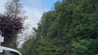 Helicopter tree saw & tree trimming 4K