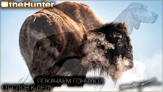 ♢ theHunter Classic ♢ От слов к делу ♢ Покачаем гончую?! ♢