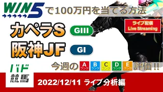 【WIN5で100万円：ライブ分析編】 2022年12月11日（日）カペラS・阪神JF