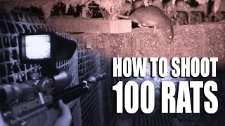 How to Shoot 100 Rats