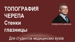 Топография черепа. Стенки глазницы.