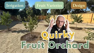 Backyard Fruit Orchard Tour | Design, Irrigation, Fruit Varieties (and more!)