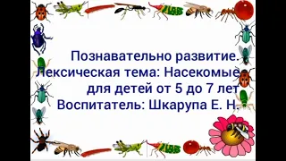 Занятие на тему Насекомые. Воспитатель МБДОУ № 10 "Сказка" г. Тихорецка Шкарупа Екатерина Николаевна