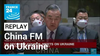 REPLAY - China says territorial integrity of Ukraine must be respected • FRANCE 24 English