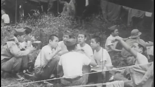 昭和28年08月13日 若人の集いボーイスカウトのキャンプ 0024