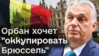 🤯 Орбану наплевать! "Оккупировать Брюссель"! Скандальные заявления премьера Венгрии