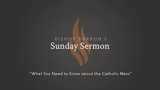 What You Need to Know about the Catholic Mass — Bishop Barron’s Sunday Sermon