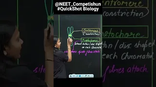 NEET Made Easy  With QuickShot Biology | Understand What is "Centromere & Kinetochore "|#shorts#neet