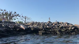 Swinburne Island east of Staten Island