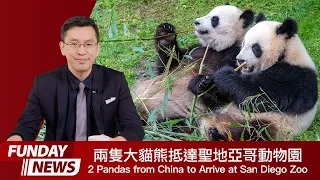 英語日報 News 2024.05.02 | 2 Pandas from China to Arrive at San Diego Zoo兩隻來自中國的大貓熊抵達聖地亞哥動物園