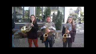 Musikkapelle Haslach E.V. - woensdag 1 mei 2024