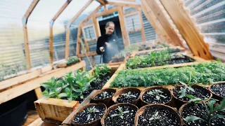 See the Greenhouse that Saves Us Thousands in Garden Plants