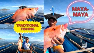 TRADITIONAL BOTTOM FISHING//IMPORTED FISH//RED SNAPPER// MAYA MAYA