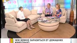 Здоровье. Чем можно заразиться от домашних животных? GuberniaTV